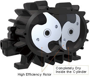 rotor (2)