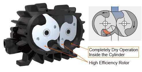 rotor